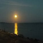 Profile Picture of Tina Sanders Hartsfield (@tinahartsfield) on Instagram