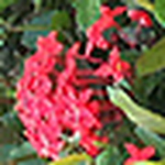 Profile Picture of Amir  Khatibi (@amirkhat) on Flickr