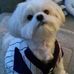 Profile Picture of Michael Tarulli (@michael.tarulli.16) on Facebook