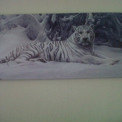 Profile Picture of Debbie Windle (@Jamesandscott) on Twitter