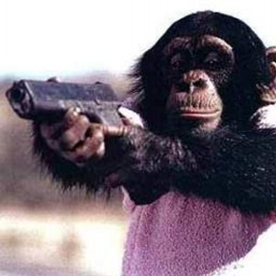 Profile Picture of Brian Billups (@ActAMonkey_UA) on Twitter