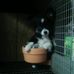 Profile Picture of Bruce Kepler (@bruce.kepler.9) on Facebook