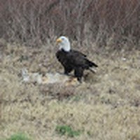 Profile Picture of Tommy Copley (@tommy-copley-1) on Quora