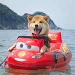 Profile Picture of Rick zhang (@rick_zhang358) on Instagram