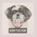 Profile Picture of Shih Tzu Hub Hub (@shihtzuhub.hub) on Facebook
