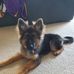 Profile Picture of Shirley Olson (@shirley.olson.7140) on Facebook