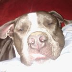 Profile Picture of sherry belcher (@kylee061303) on Instagram