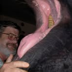 Profile Picture of Howard Alcorn (@howard.alcorn) on Facebook