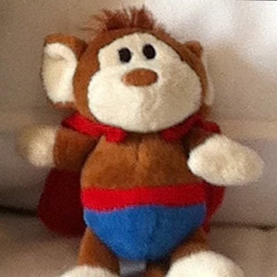 Profile Picture of Tracey Wood (@TedWood107) on Twitter