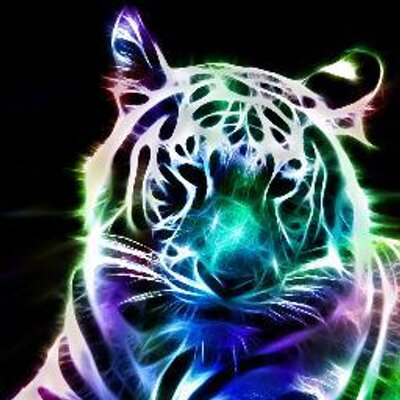 Profile Picture of John Johnson (@tyger127423) on Twitter