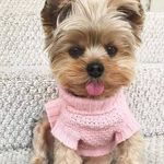 Profile Picture of Charlotte K. Novack (@charlottenovack) on Instagram