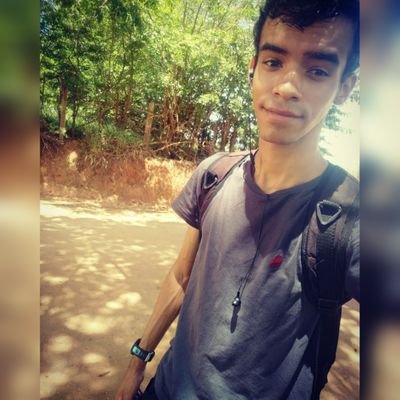 Profile Picture of Michael Landerson (@Michae1lelis) on Twitter