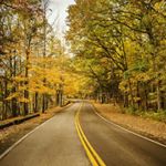 Profile Picture of Francesco Richard (@er_vijay17) on Instagram