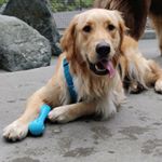 Profile Picture of Dr. Leo McCoy W-B, M.D. (@leo_aka_bones) on Instagram