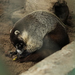 Guadalupe Alejandra Valencia Velazquez - Flickr Profile Picture of Guadalupe Alejandra Valencia Velazquez (@guadalup_0411) on Flickr