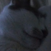 Profile Picture of Crystal Lackey (@crystallackey3928) on Youtube