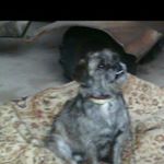 Profile Picture of victor neila domenech (@neiladomenech) on Instagram