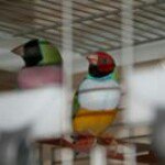 Profile Picture of Annick Daniel Martin (@daniel.martin.10690203) on Instagram