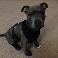 Libby Downs - Quora Profile Picture of Libby Downs (@libby-downs) on Quora