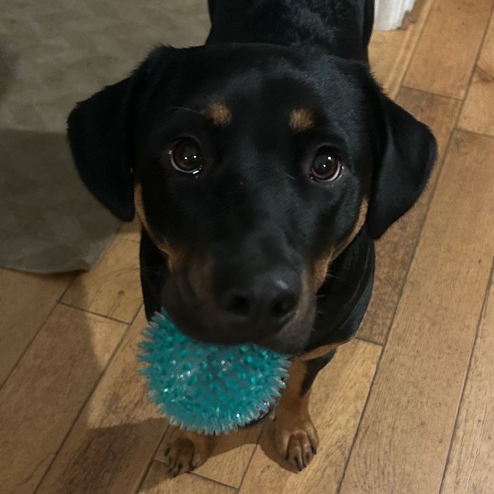 Profile Picture of miriam (@cheekymiriam) on Tiktok