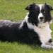 Profile Picture of John LaForte (@johnlaforte) on Pinterest