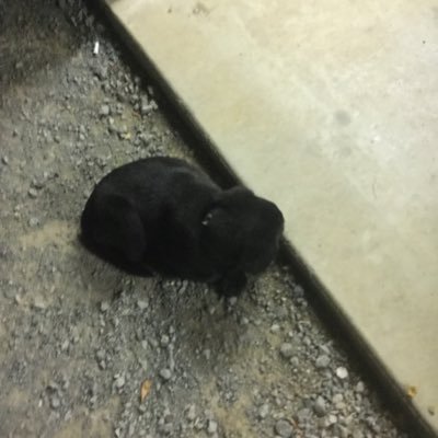 Profile Picture of Blane ClArk (@clark_blane) on Twitter