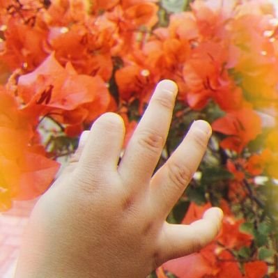 Profile Picture of Anken N Kania (@anken_nk) on Twitter