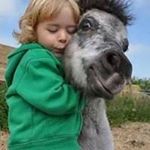 Profile Picture of Janet bishop (@janetbishop6615) on Instagram