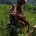 Profile Picture of Steve Schafer (@steve.schafer.589) on Facebook