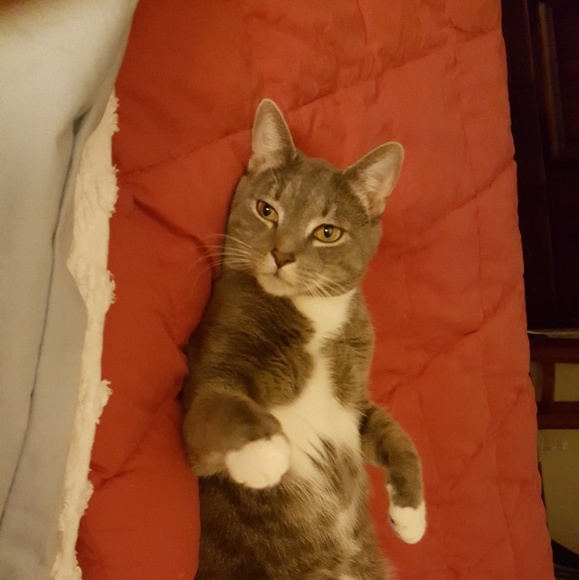 Stephanie Kocher - Poshmark Profile Picture of Stephanie Kocher (@skocher16827) on Poshmark