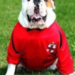 Profile Picture of Paul Middlemiss (@pmiddlemiss) on Instagram