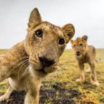 Profile Picture of xh (@hot.albert) on Instagram