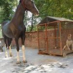 Profile Picture of harsha khanna (@mohan.shyamsharma1974) on Instagram