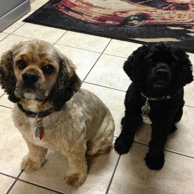 Robin McGrath - Twitter Profile Picture of Robin McGrath (@GrathRobin) on Twitter