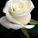 Profile Picture of Linda Garibay (@linda.garibay.5815) on Facebook