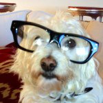 Profile Picture of Graham Shearer (@grahamshearer) on Instagram