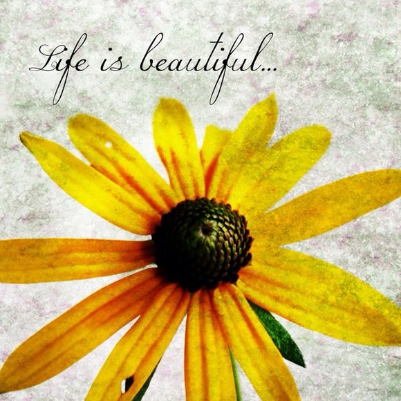 Profile Picture of Amanda Konig (@akonig10) on Poshmark