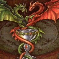 Profile Picture of Patrick Dang (@patrick-dang-8) on Quora