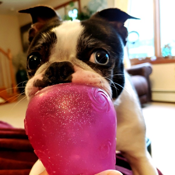 Profile Picture of Meryl Marcus (@immelzie) on Poshmark