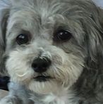 David Gilhooly - Facebook Profile Picture of David Gilhooly (@david.gilhooly.75) on Facebook