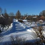 Profile Picture of Mahmud Alsamarraee (@alexabase) on Instagram