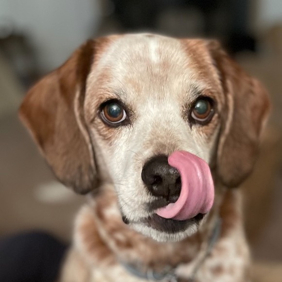 Profile Picture of John Manos (@johnmanos24) on Poshmark