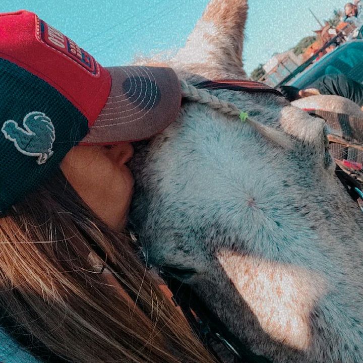 Profile Picture of Alicepolicant (@alicepolicant1) on Tiktok