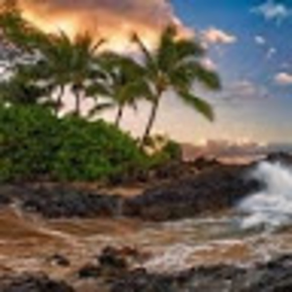 Profile Picture of David Borshell (@davidborshell) on Poshmark