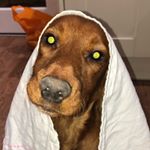 Profile Picture of Aimee Mullins (@aimee_mullins13) on Instagram