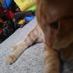 Profile Picture of Caleb Peterson (@calebpeterson32) on Instagram