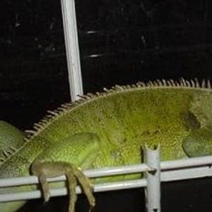 Profile Picture of Holly Bopp (@216210285) on Myspace