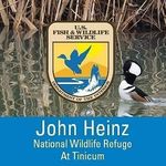 Profile Photo of John Heinz NWR (@johnheinznwr) on Instagram