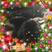 Profile Picture of Teresia Beaty (@teresia.beaty.1) on Facebook