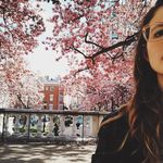 Profile Picture of Sarah Chapin Greene (@sarahgreene292) on Instagram
